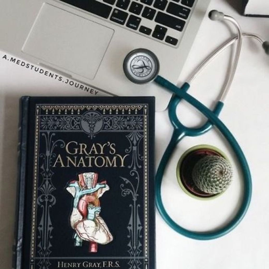 Social Gray’s anatomy 