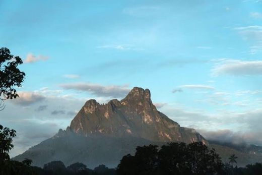 Pico da Neblina National Park