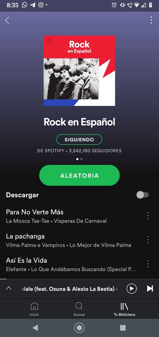 Fashion Rock en Español