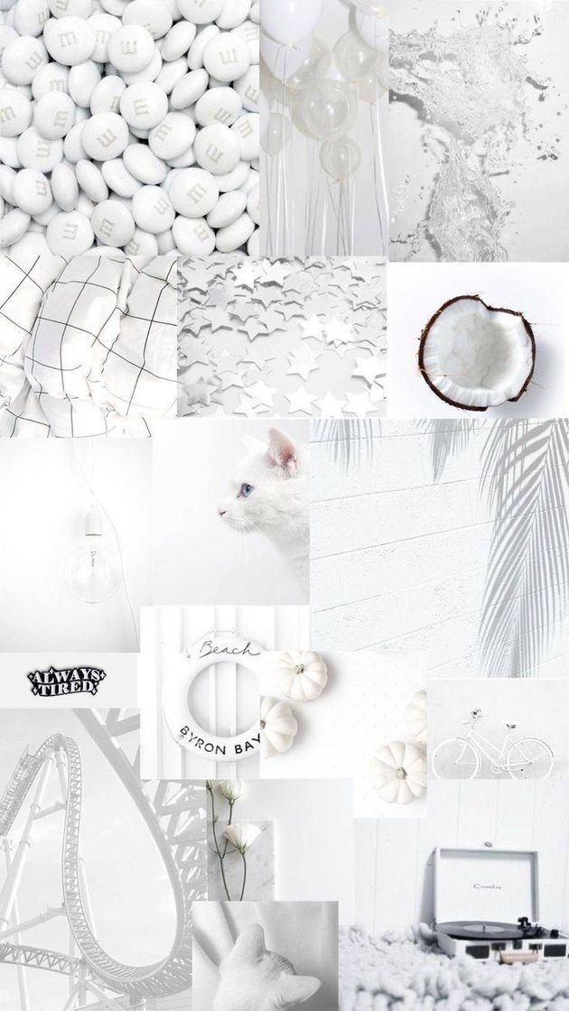 Moda Wallpaper asthethic branco gato