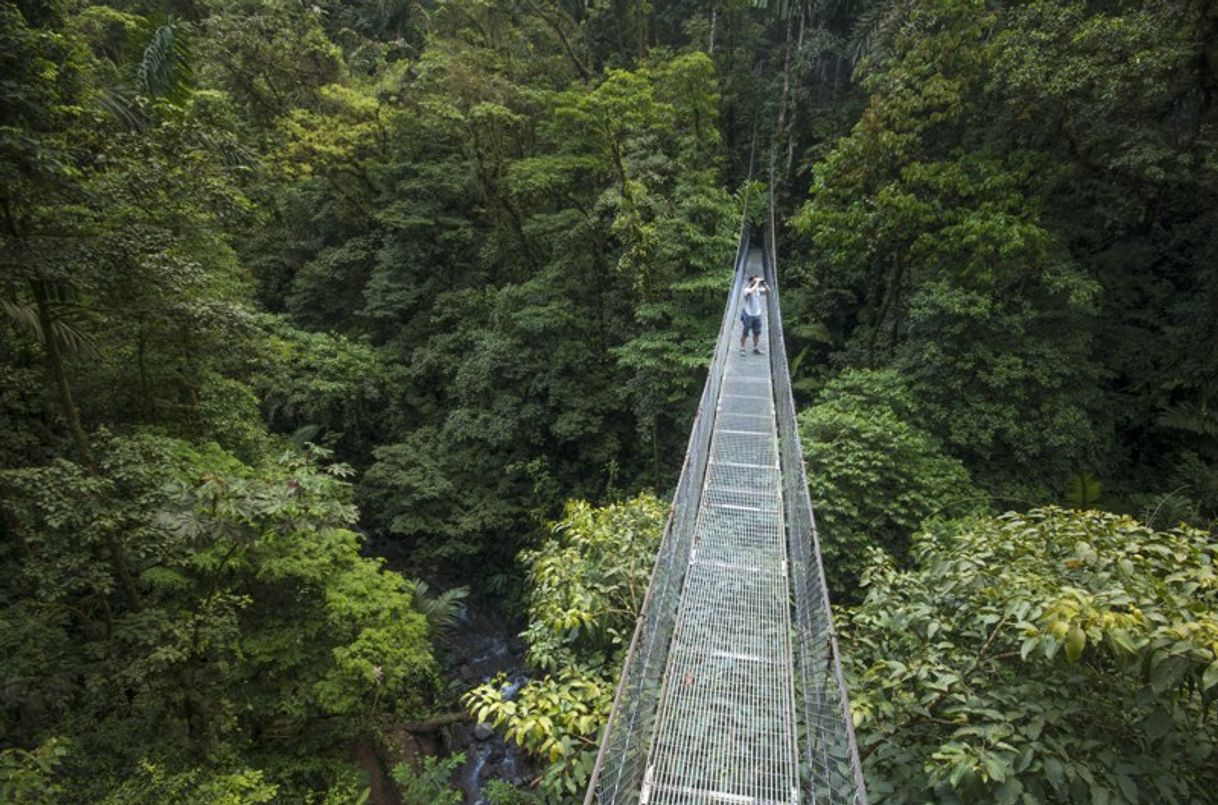 Lugar Puente Colgante El Pilón