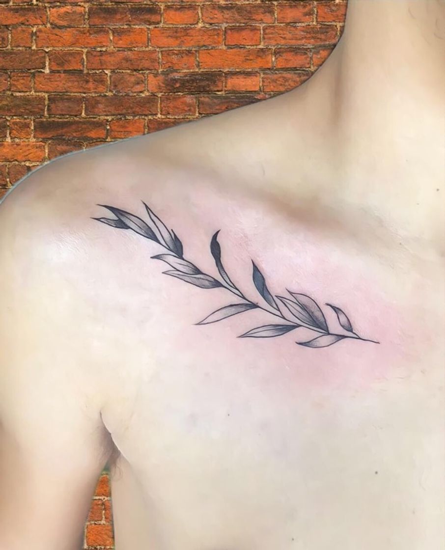 Fashion Tattoo Ramo de Oliveira.