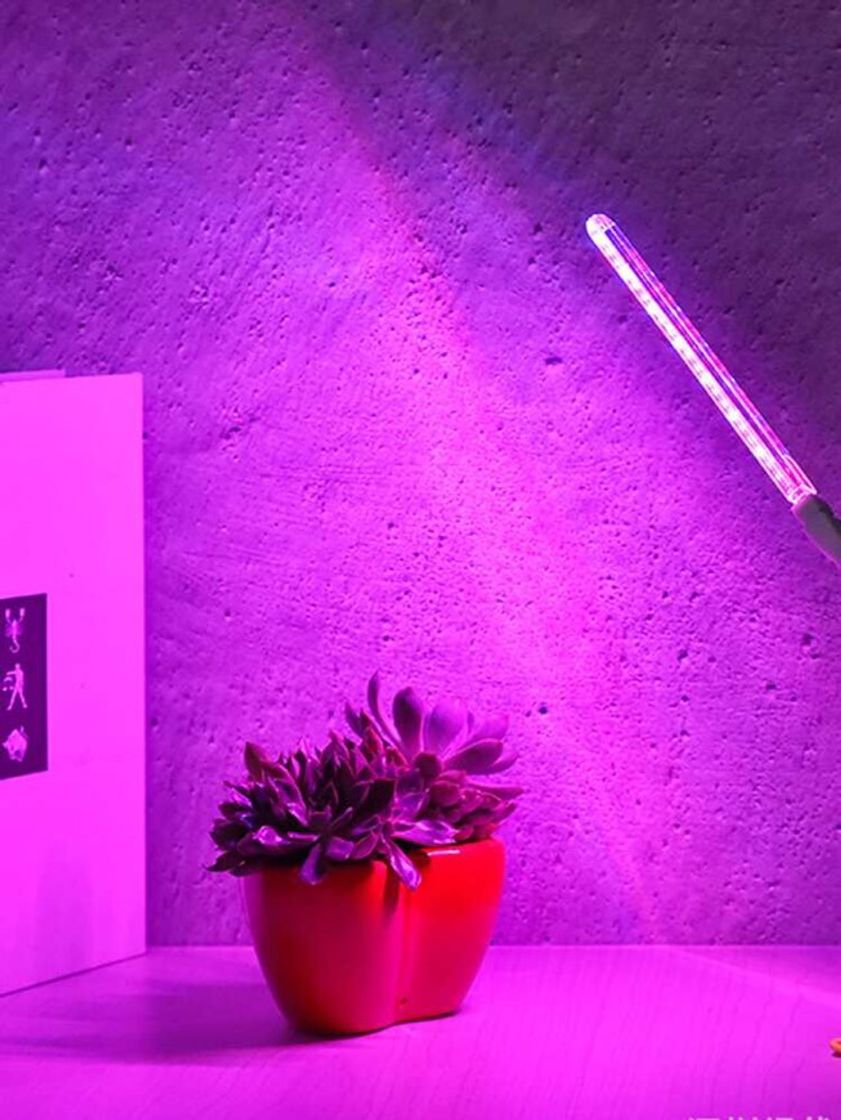 Led para iluminação de cômodos 