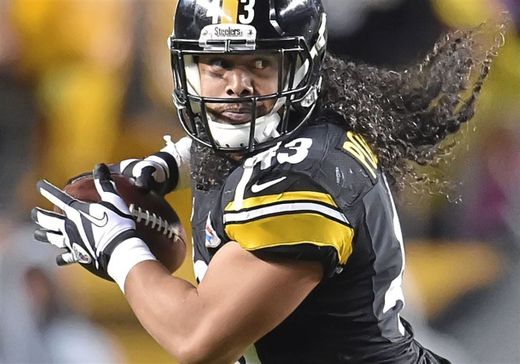 Troy Polamalu | Wikipedia 