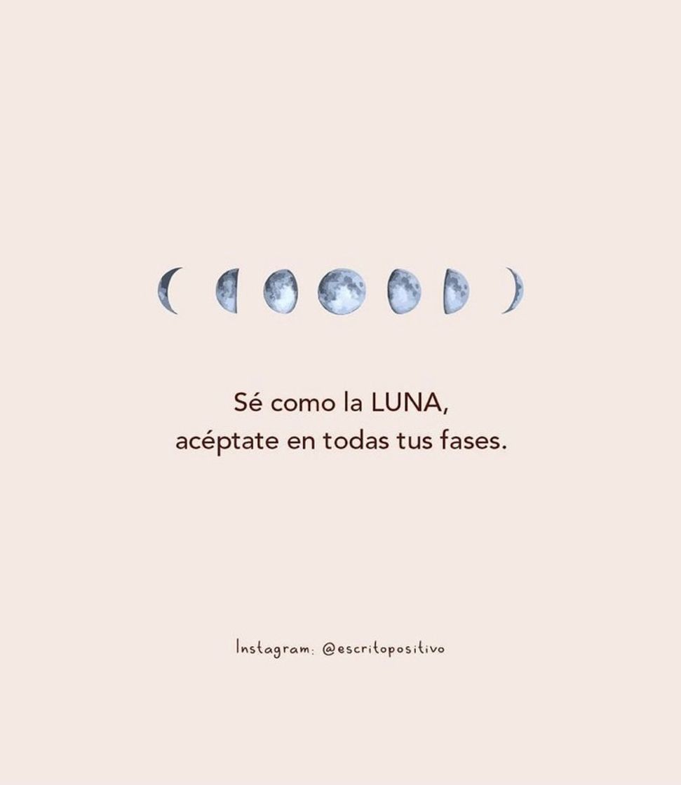 Moda 🌙