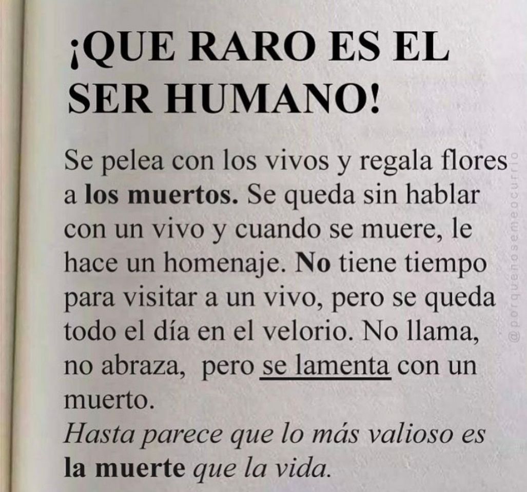 Social El ser humano