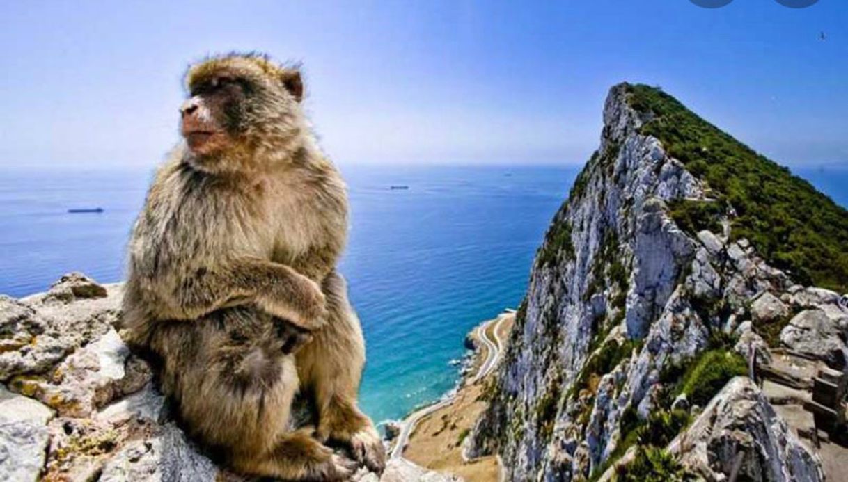 Lugar Rock of Gibraltar