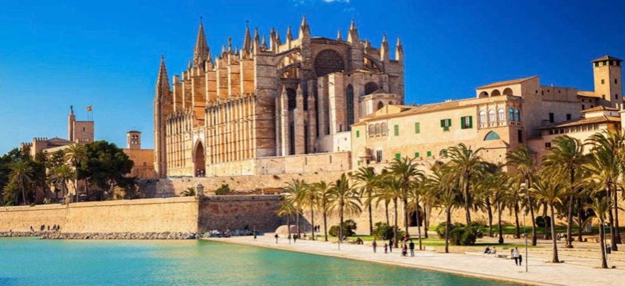 Lugar Catedral-Basílica de Santa María de Mallorca