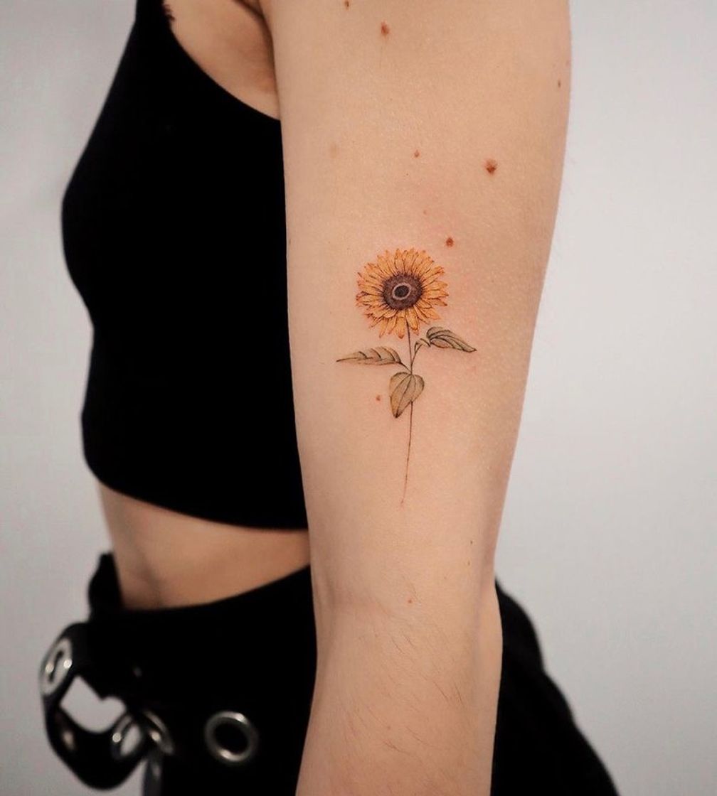 Product Tatto 🌻