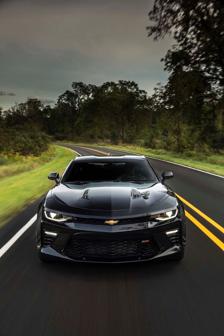 Moda Camaro Black