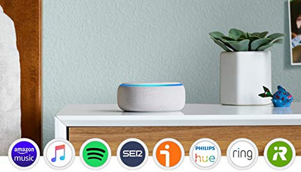 Electronic Echo Dot