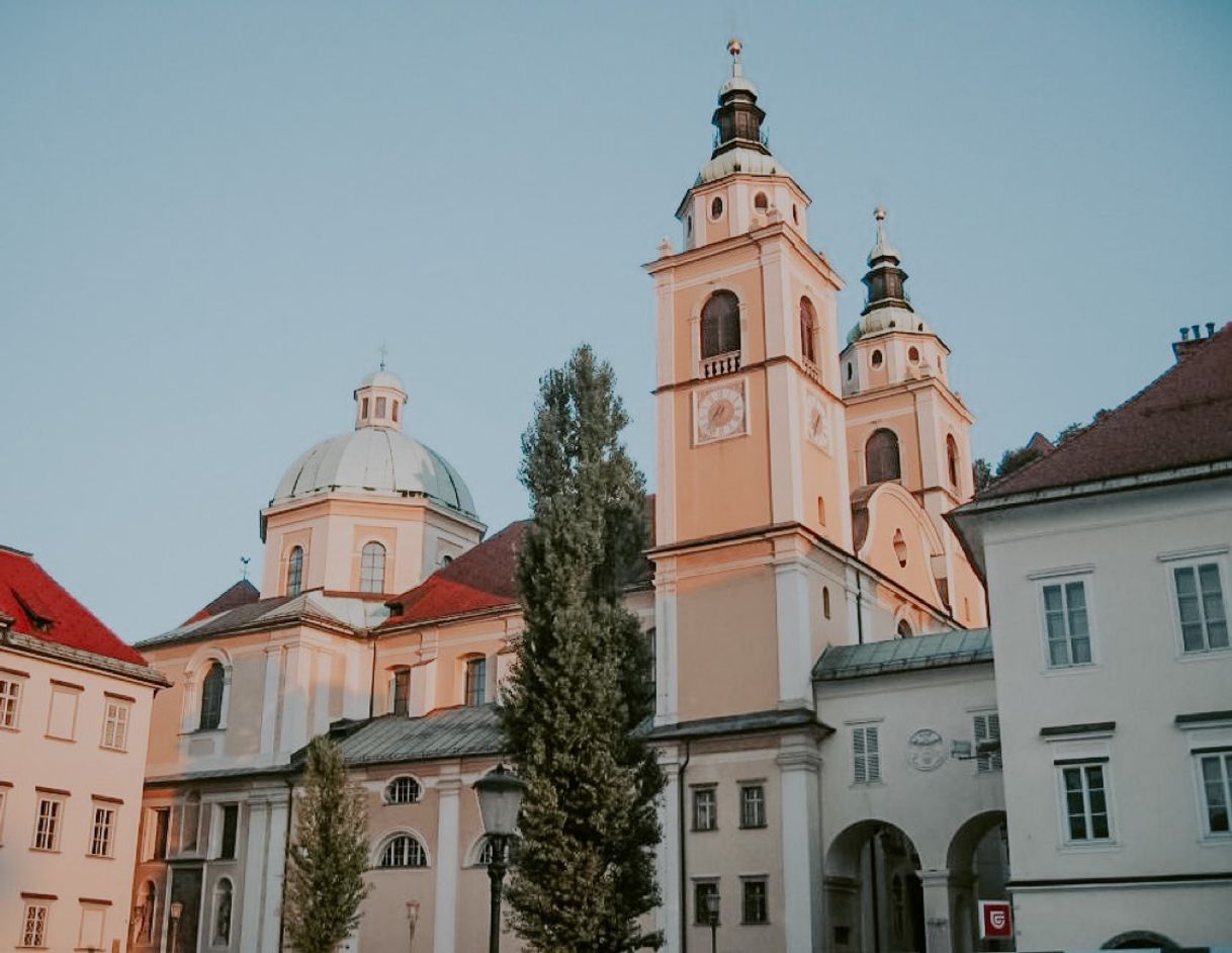 Place Ljubljana Cathedral