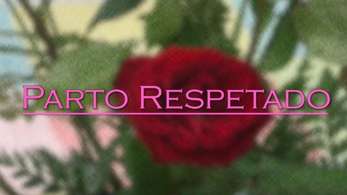 Fashion Parto Respetado - Documental - YouTube