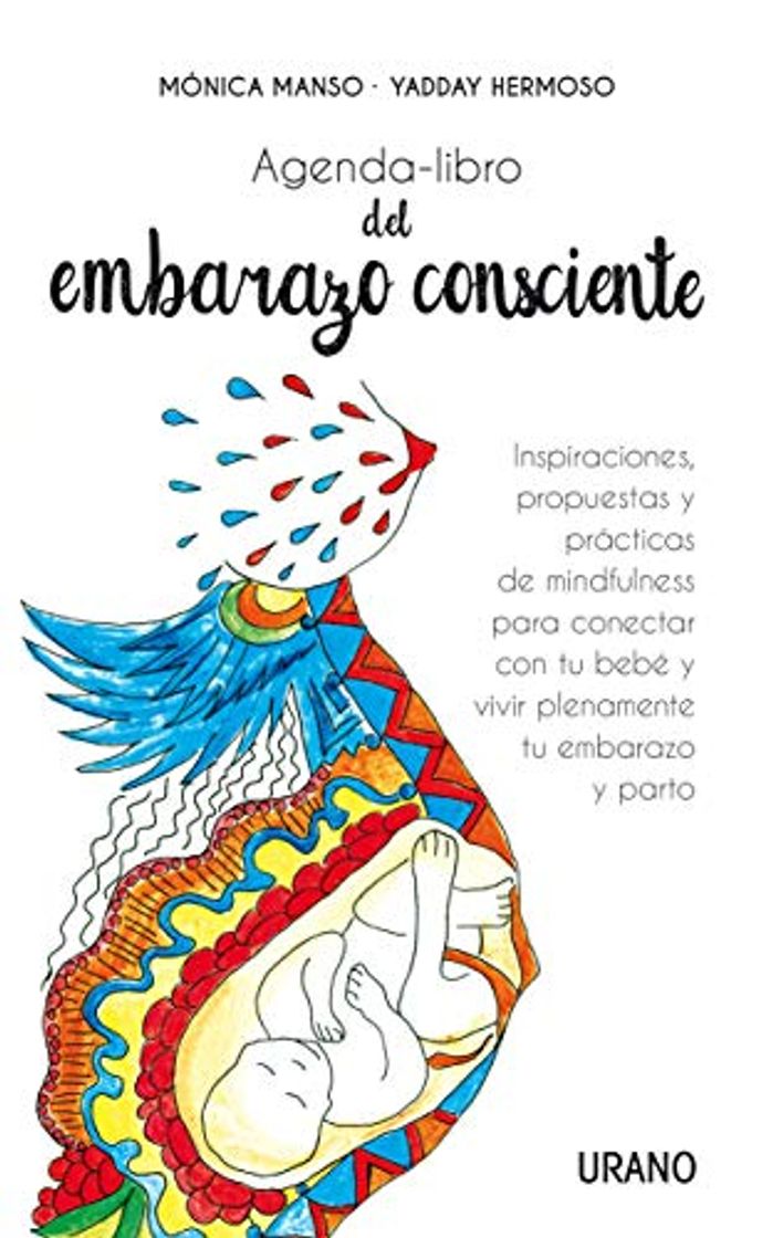 Books Agenda-libro del embarazo consciente: Inspiraciones, propuestas y técnicas de mindfulness para conectar