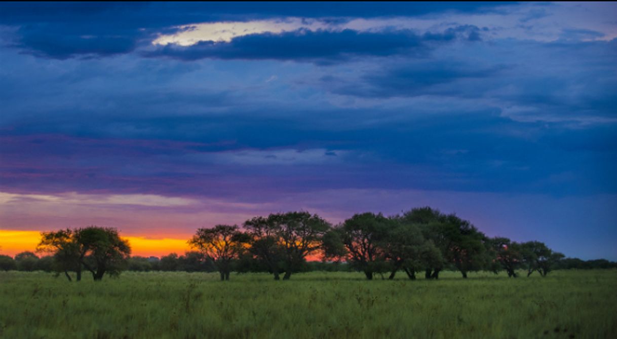 Place Los Llanos Orientales