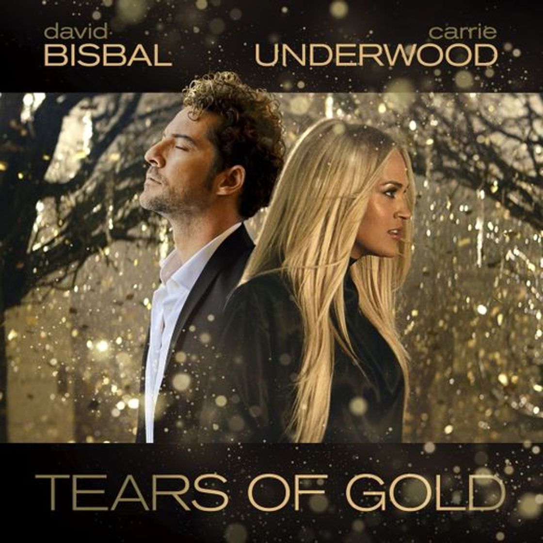 Canciones David Bisbal & Carrie Underwood's Tears of Gold