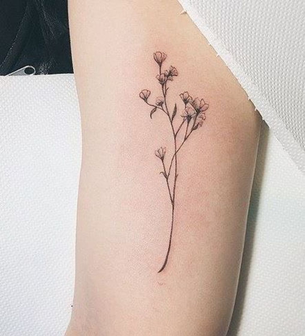 Moda Tatuagem delicadinha pra vocês se inspirarem 😍