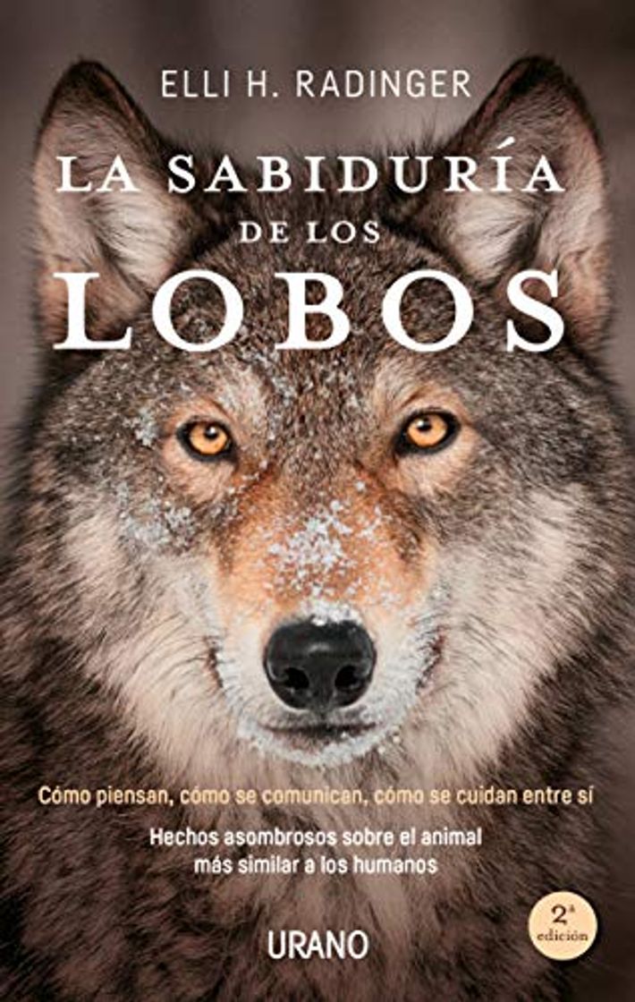 Book La sabiduría de los lobos