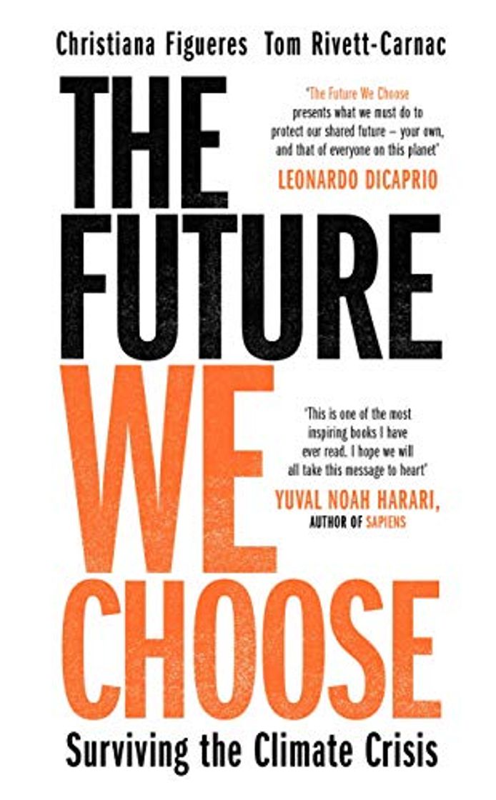 Book The Future We Choose