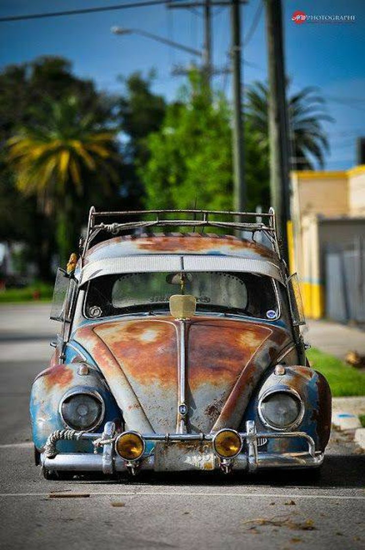 Social Old classic