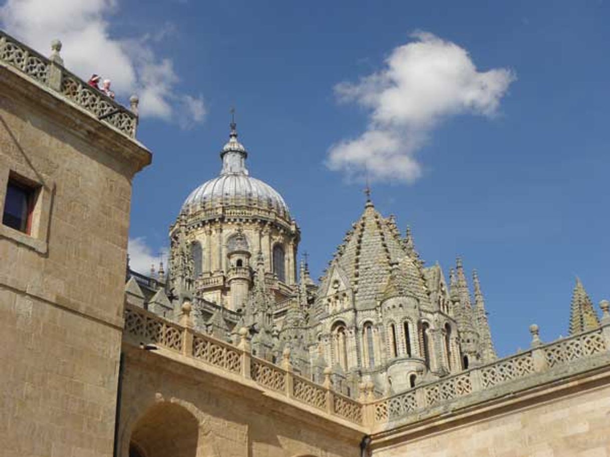 Place Catedral Vieja de Salamanca