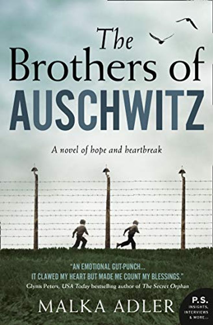 Libro The Brothers of Auschwitz: The USA Today bestseller