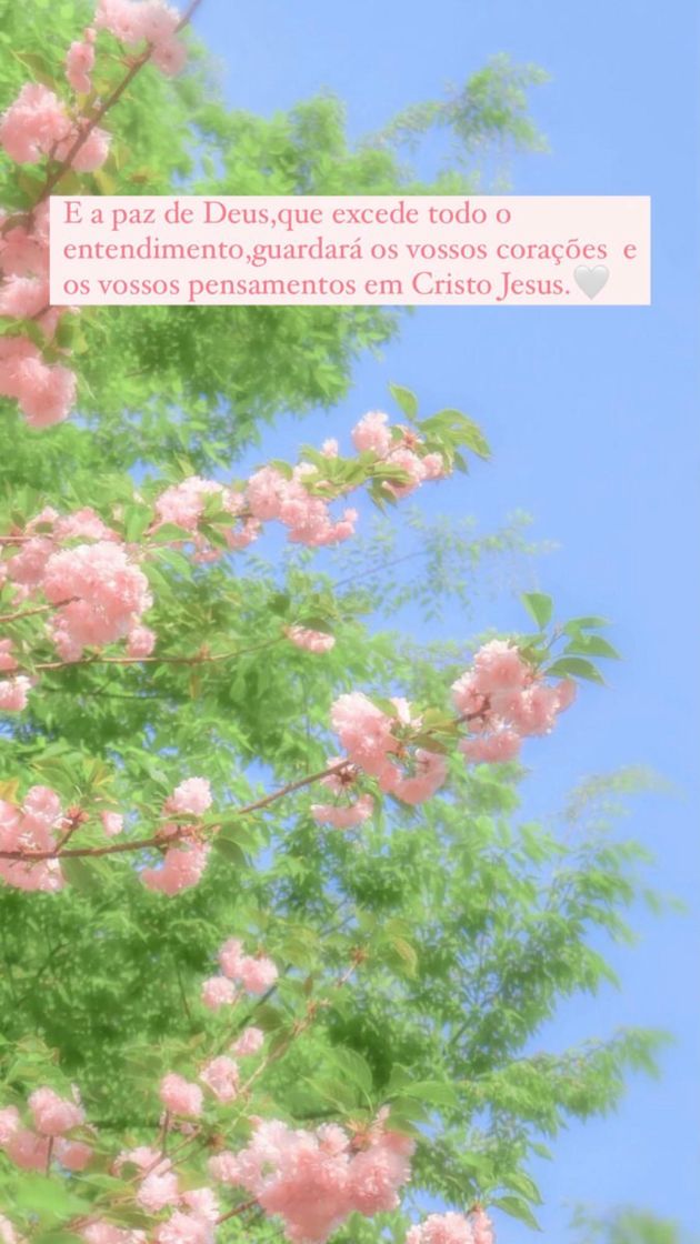 Social Filipenses 4:27🤍🌷