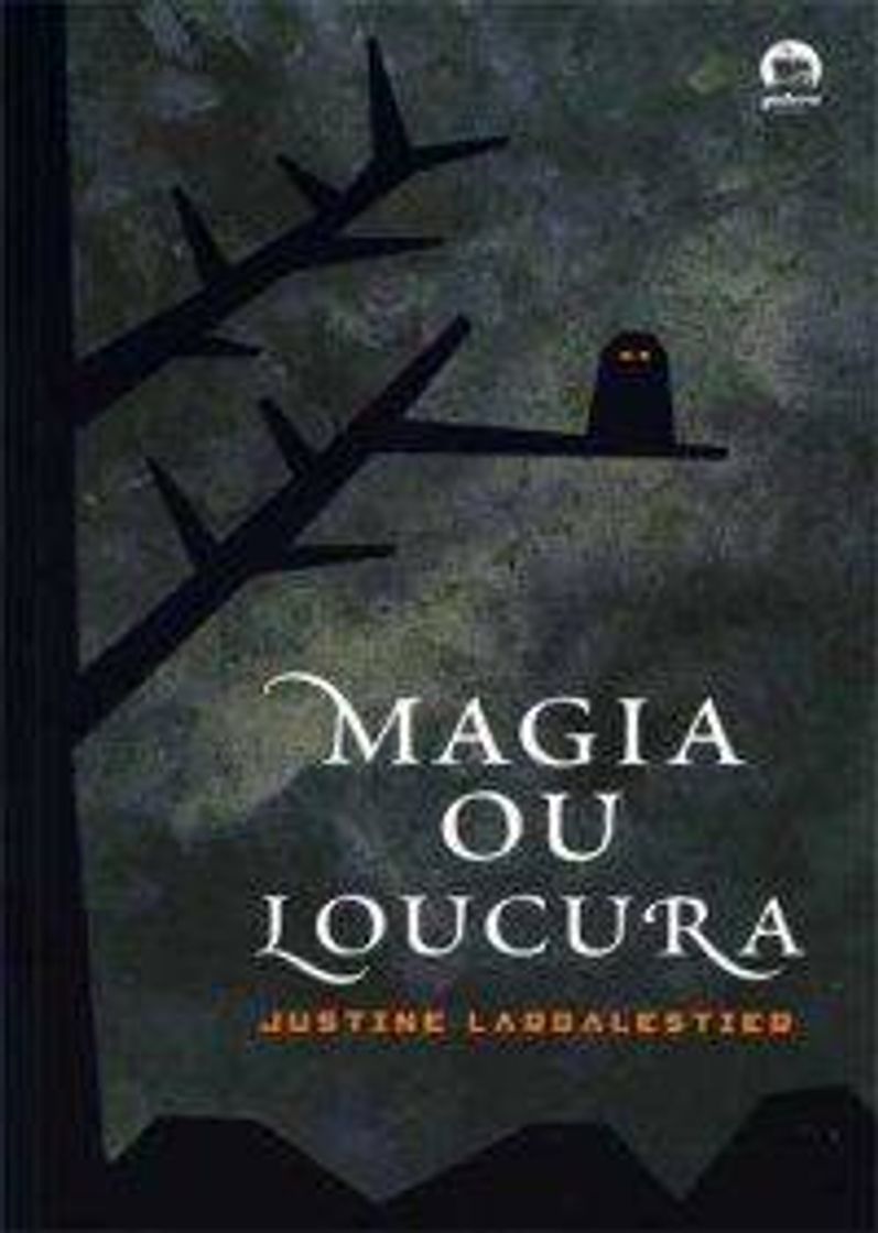 Libro Magia ou loucura 