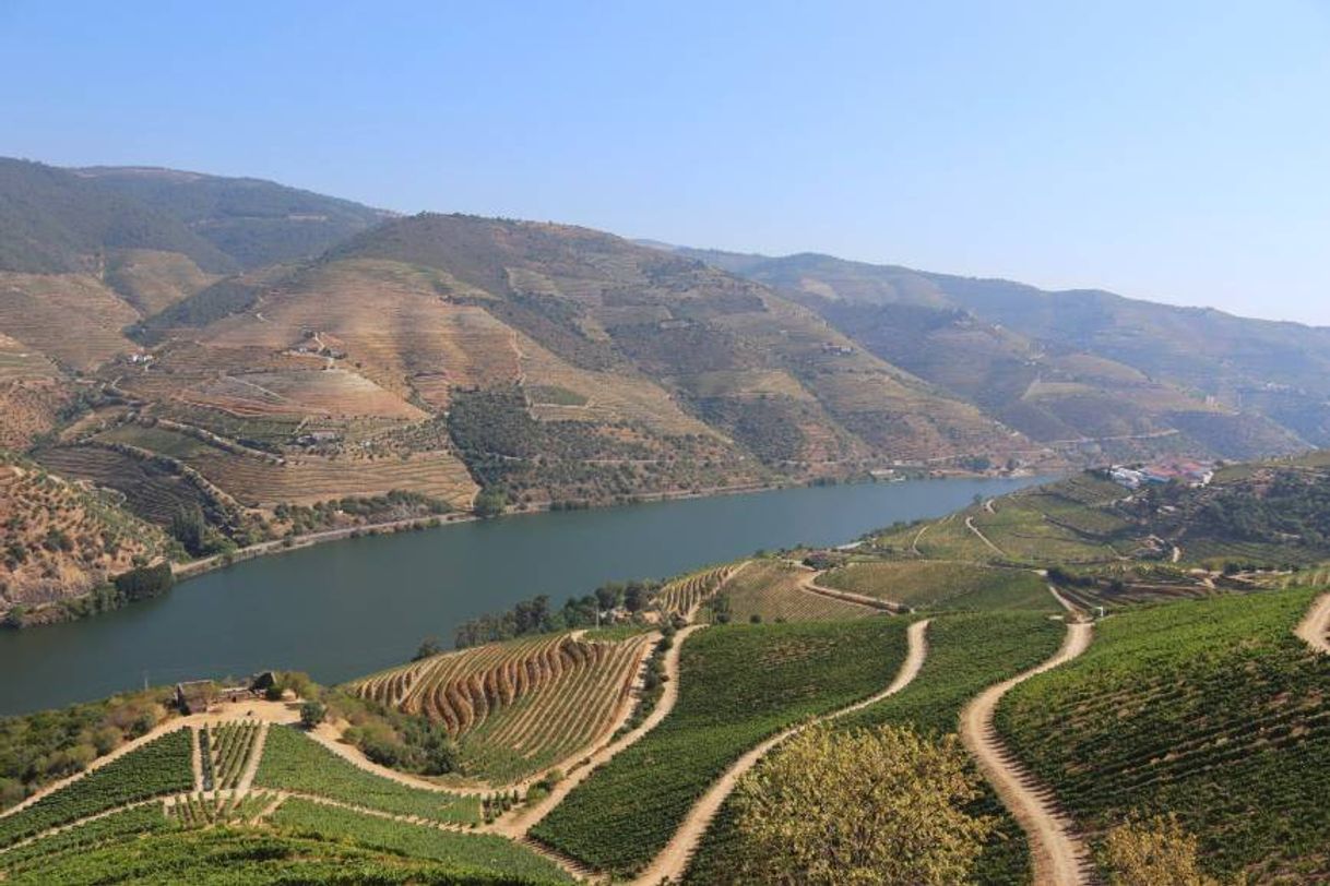 Places  DOURO VINHATEIRO