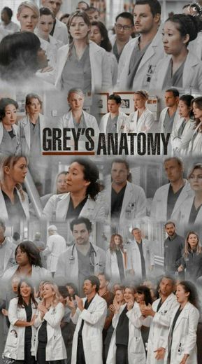Greys Anatomy 