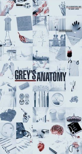 Grays anatomy 