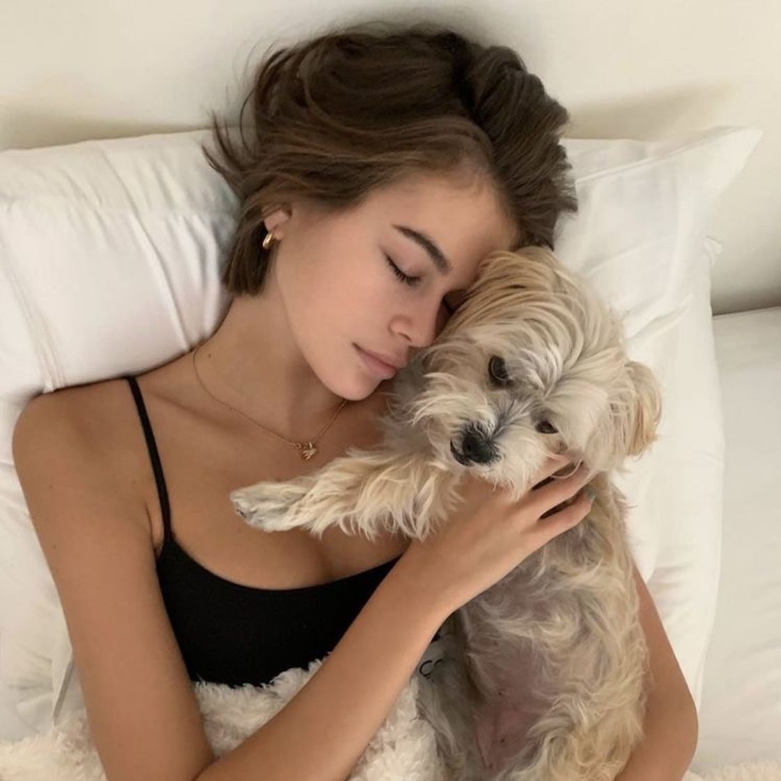 Social Inspo de fotos com pet 