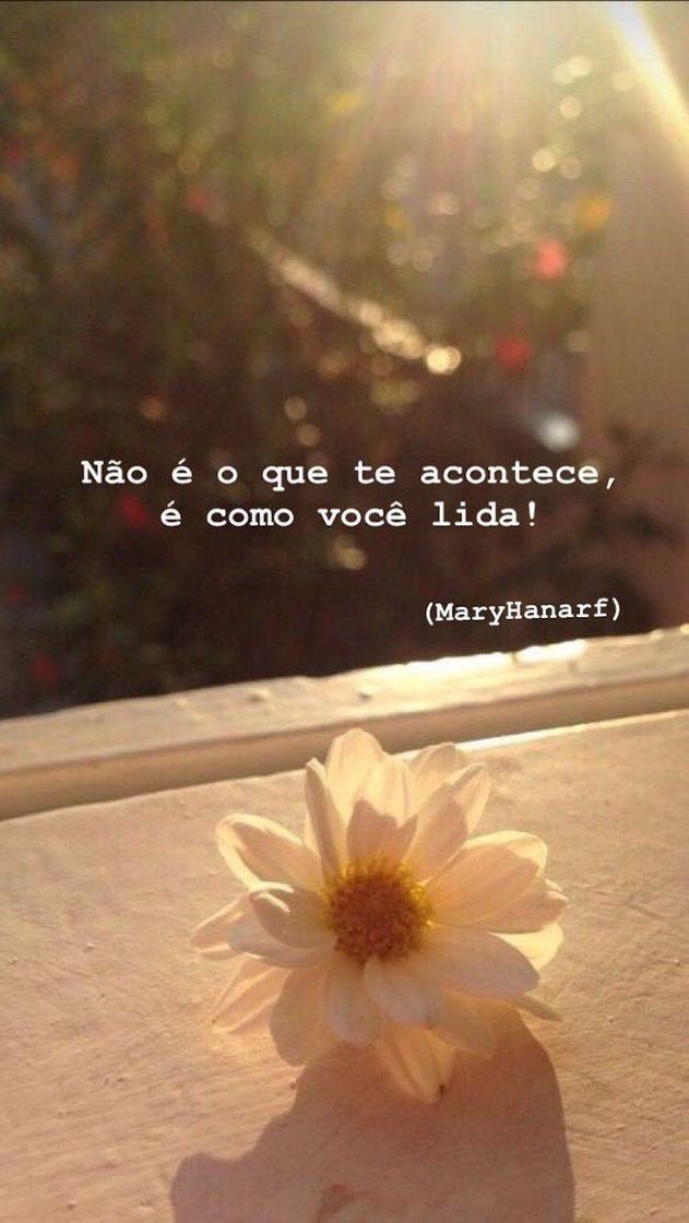 Moda Conselho 🌺