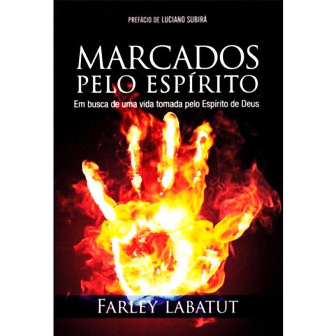 Libro Marcados pelo Espírito 