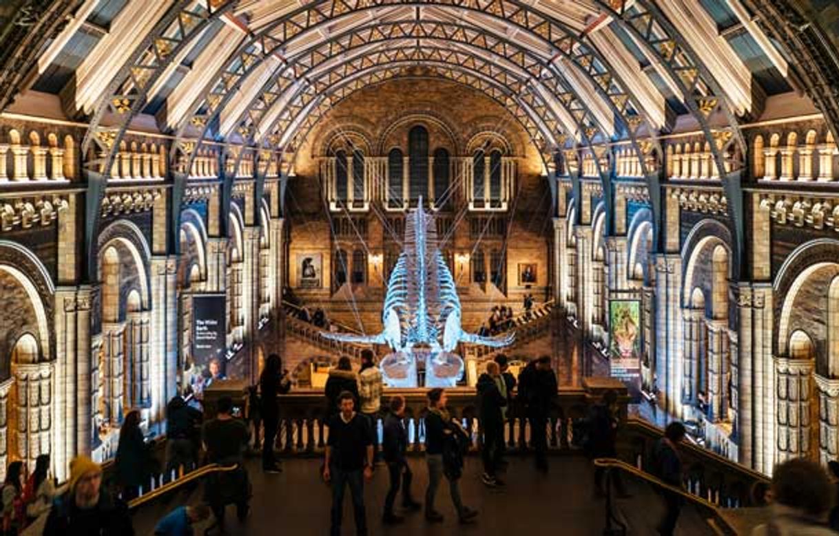 Lugar Natural History Museum