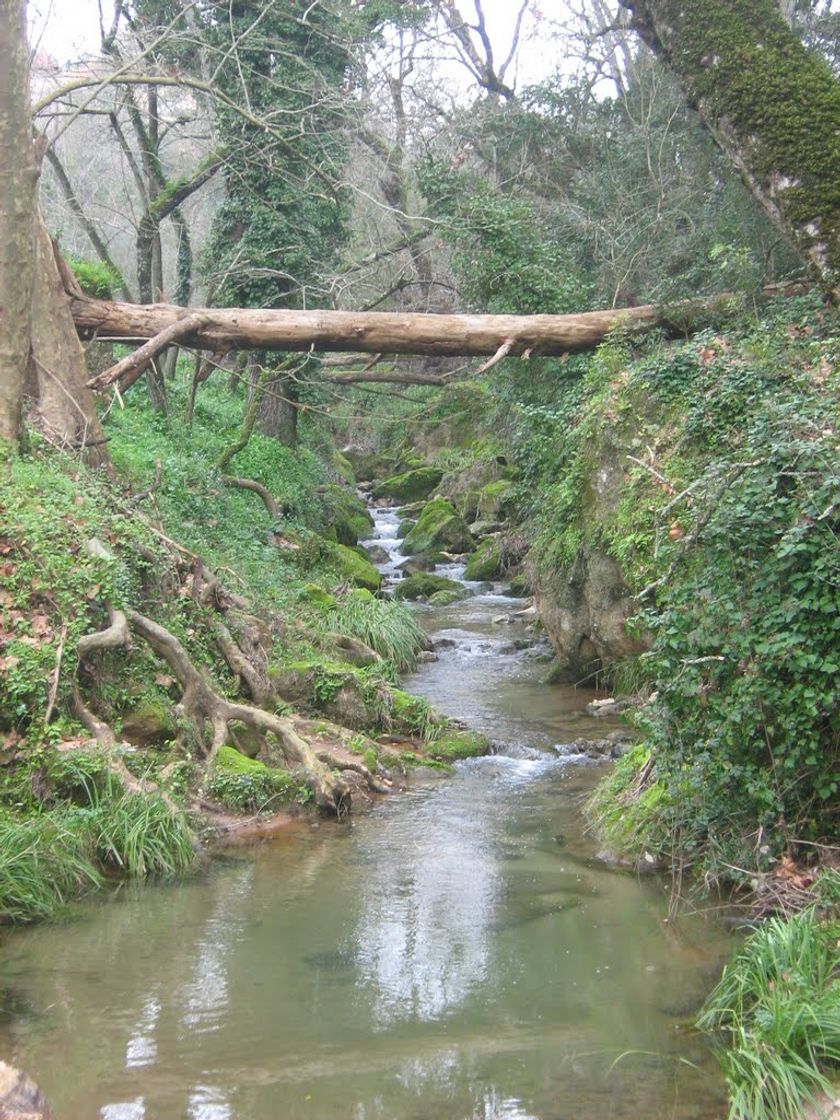 Lugares Mata de Belas