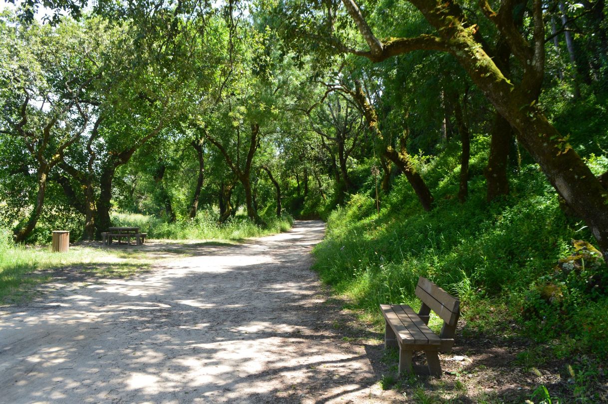 Lugar Park Rinchoa