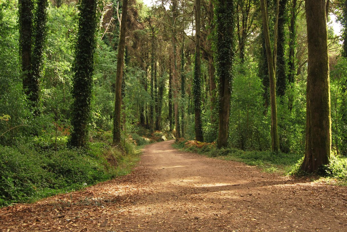 Lugar Sintra-Cascais Natural Park
