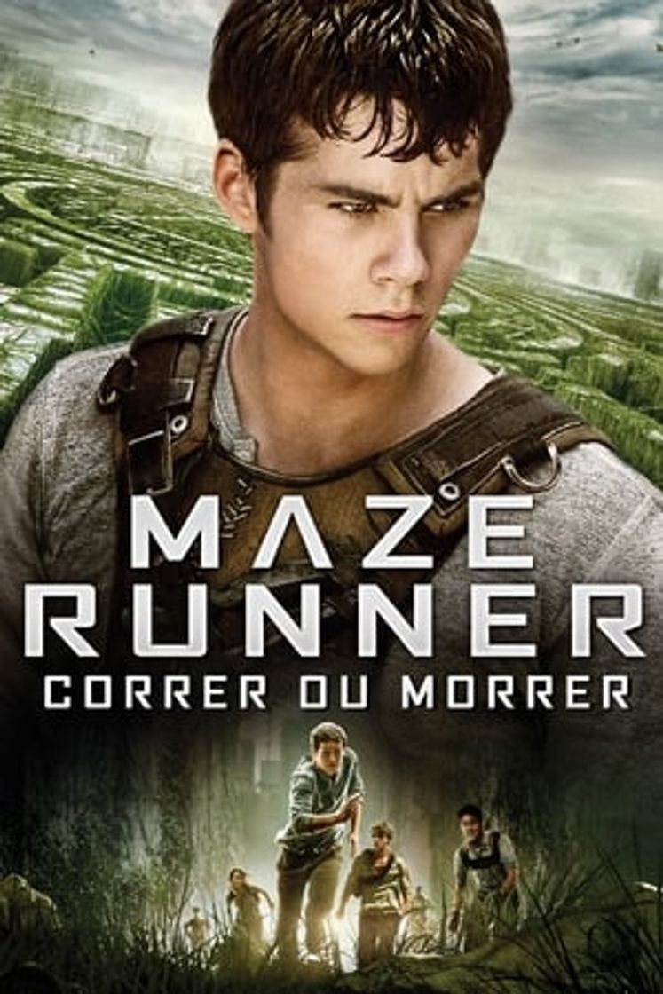 Movie The Maze Runner