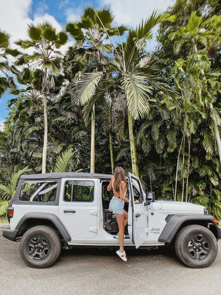 Fashion Jeep