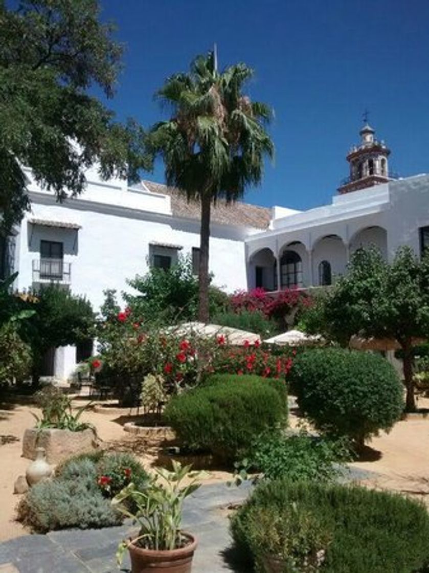 Lugar Hotel Duques de Medina Sidonia