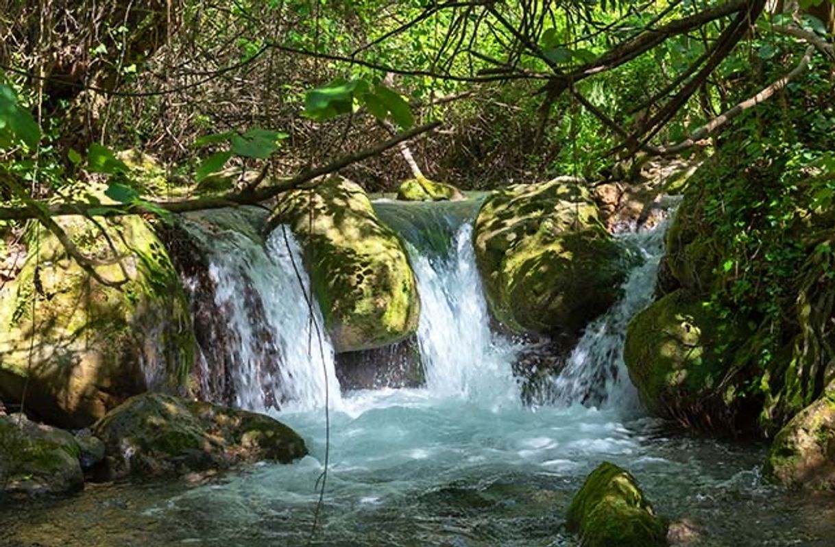 Lugar Ruta del río Majaceite