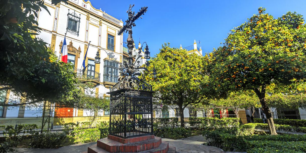 Place Plaza de Santa Cruz