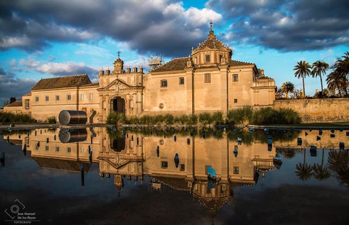 Place Monasterio de la Cartuja