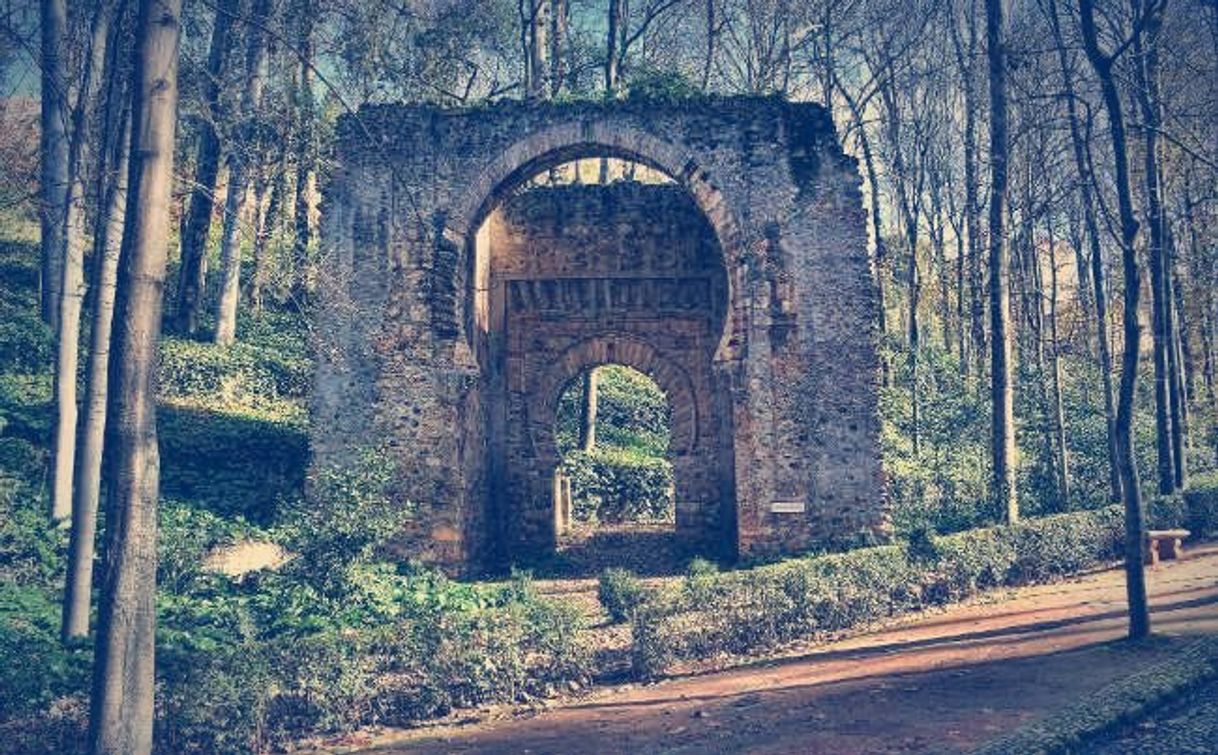 Lugar Bosque de la Alhambra