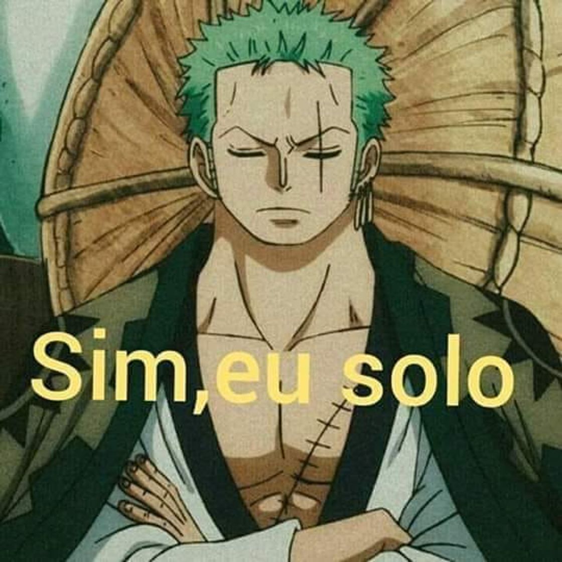 Moda Zoro solador 