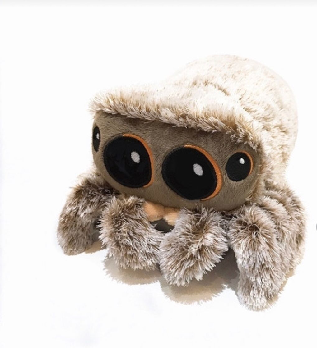 Fashion Lucas the spider 