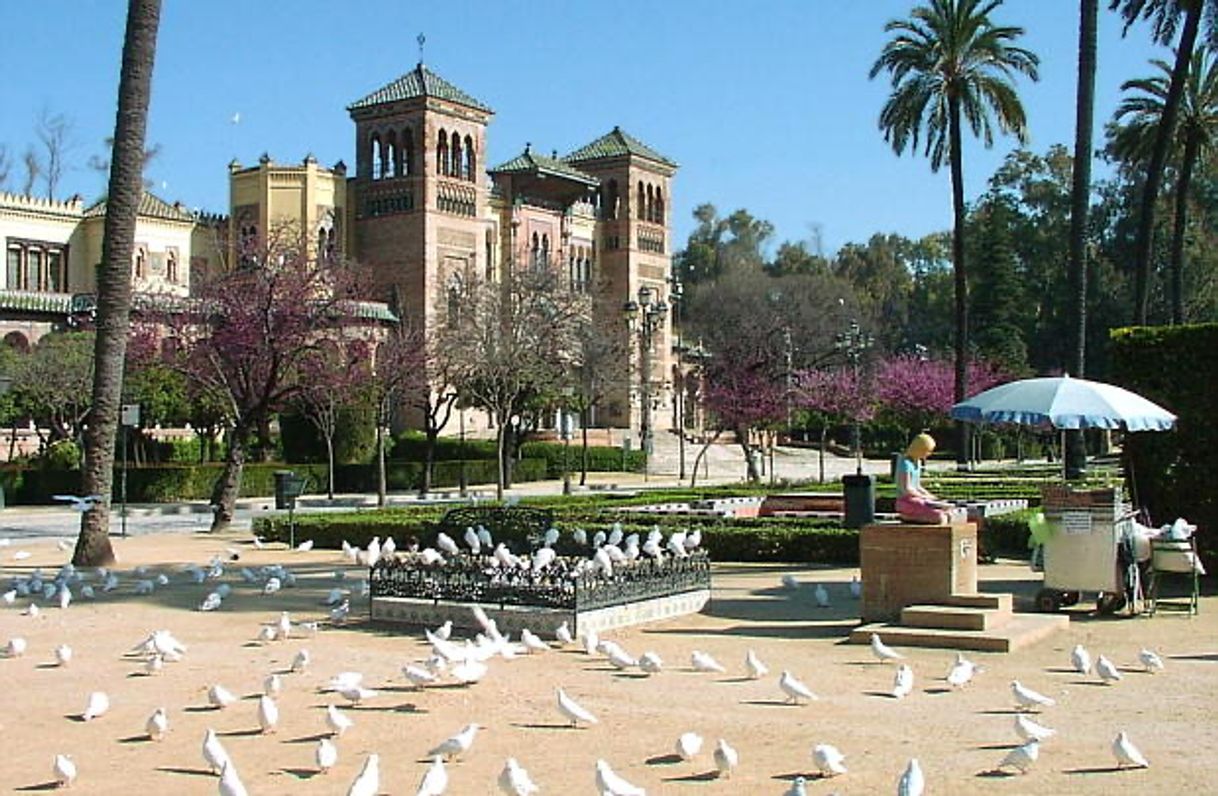 Lugares “Plaza de las palomas”