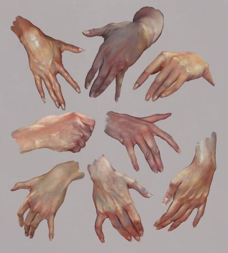 Hands studies🖐️