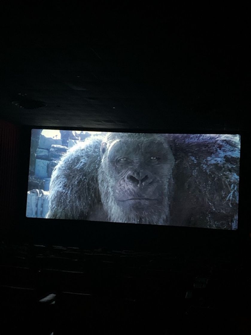 Movie Godzilla vs. Kong